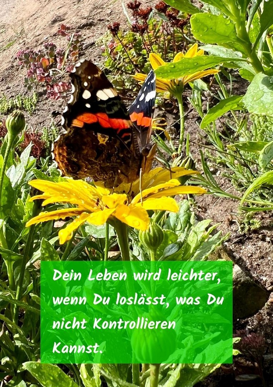 Leben wird leichter