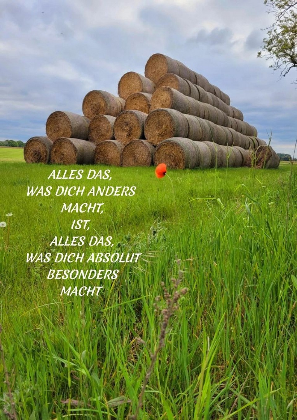 Du bist besonders