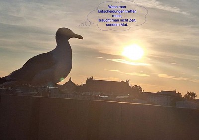 Mut kann tatsächlich oft wichtiger sein als endloses Grübeln. Manchmal ist es nicht die Zeit, die uns fehlt, sondern das Vertrauen in unsere eigene Intuition. Hast du gerade eine Entscheidung vor dir, die Mut erfordert?