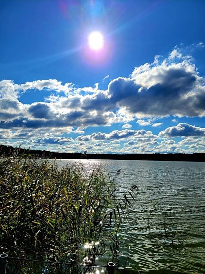 Probleme, hilfe, richtig, falsch, was tun